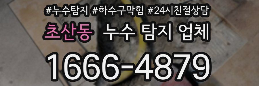 초산동 누수 탐지 업체