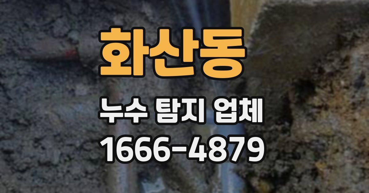 화산동 누수 탐지 업체