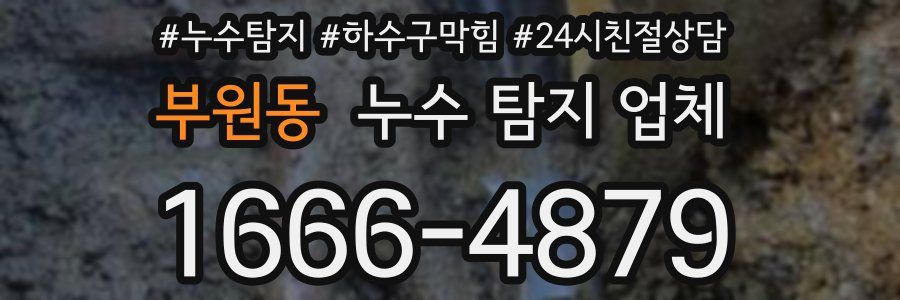 부원동 누수 탐지 업체