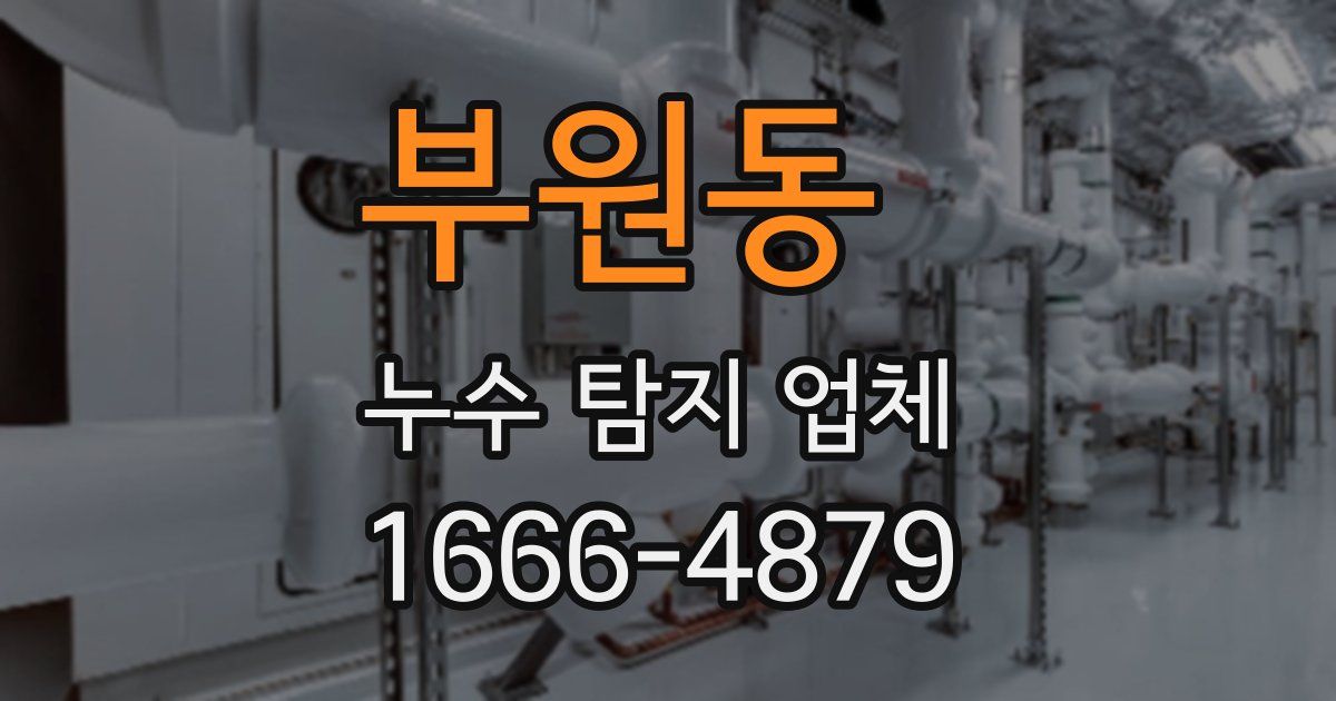 부원동 누수 탐지 업체