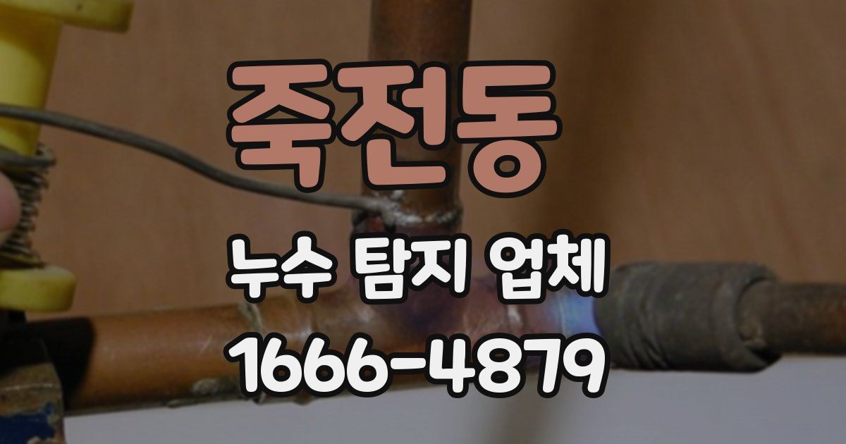 죽전동 누수 탐지 업체