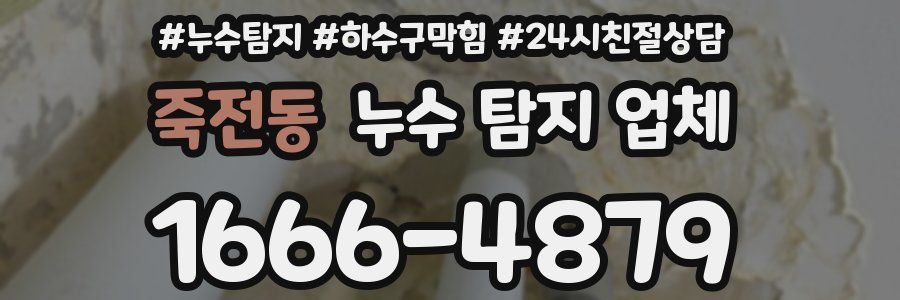 죽전동 누수 탐지 업체
