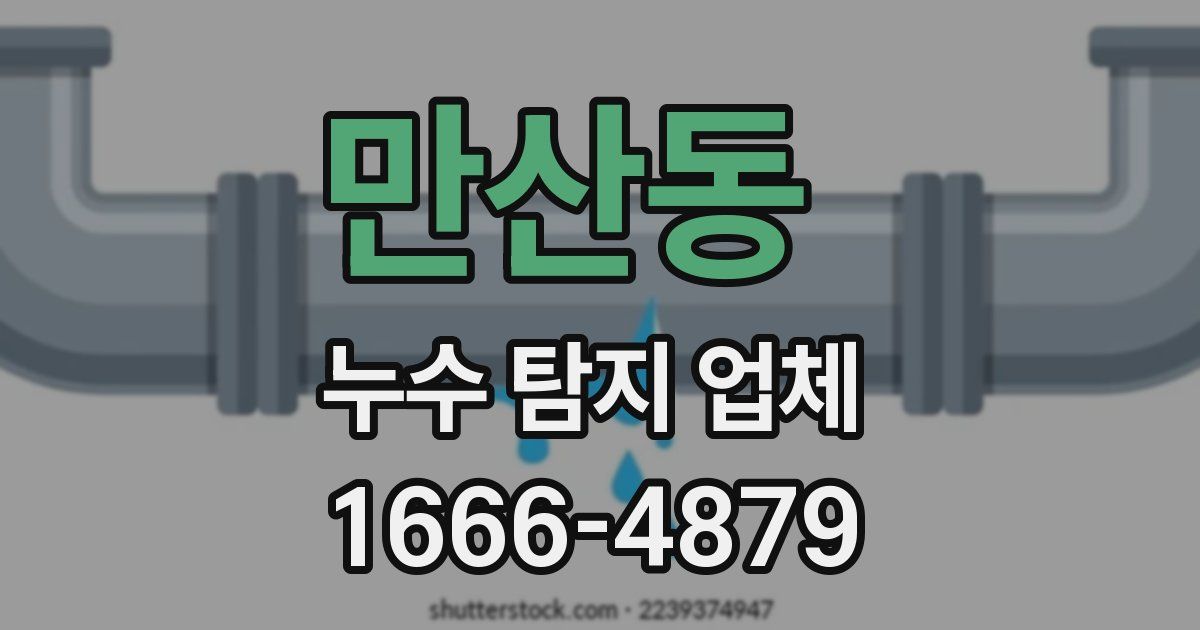만산동 누수 탐지 업체