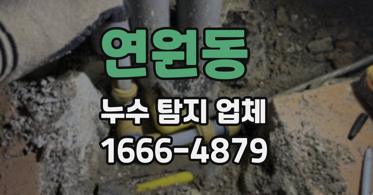 연원동 누수 탐지 업체