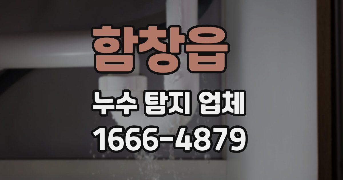 함창읍 누수 탐지 업체