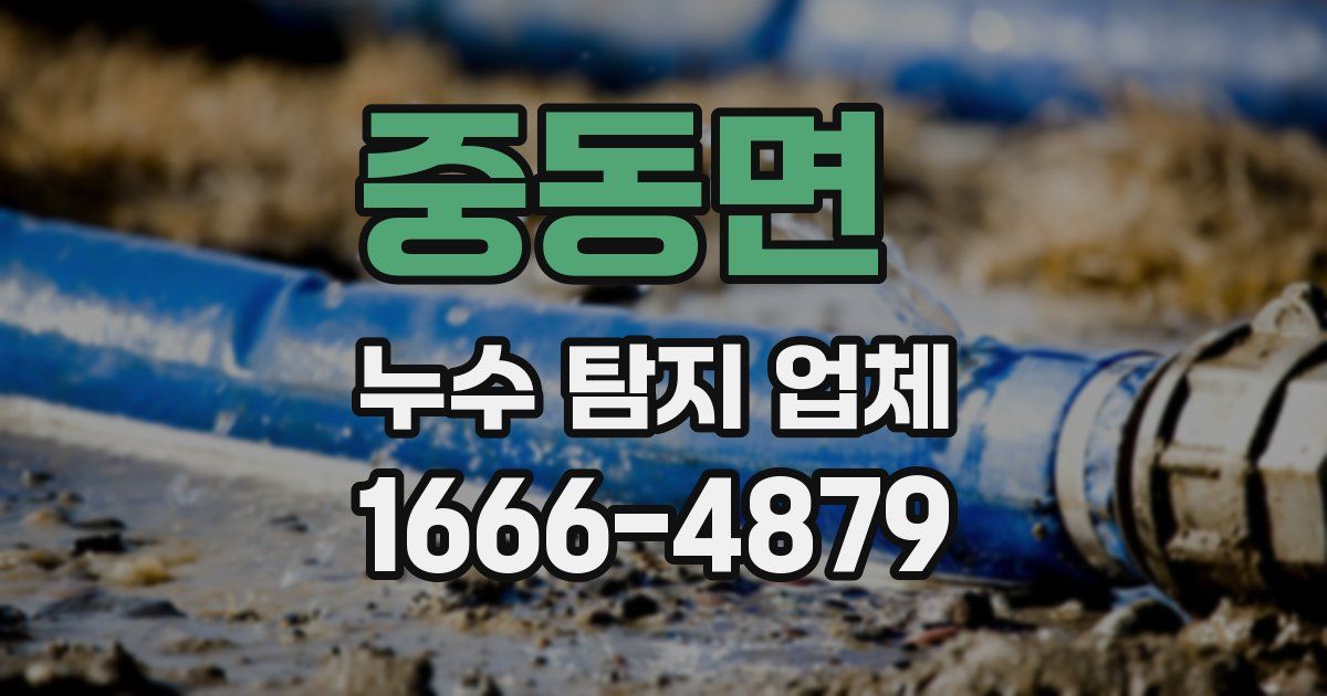 중동면 누수 탐지 업체