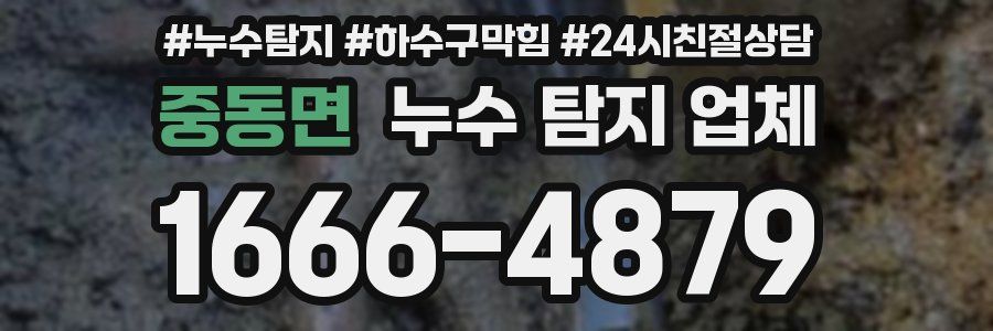 중동면 누수 탐지 업체
