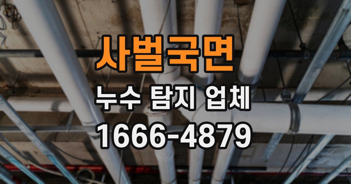 사벌국면 누수 탐지 업체
