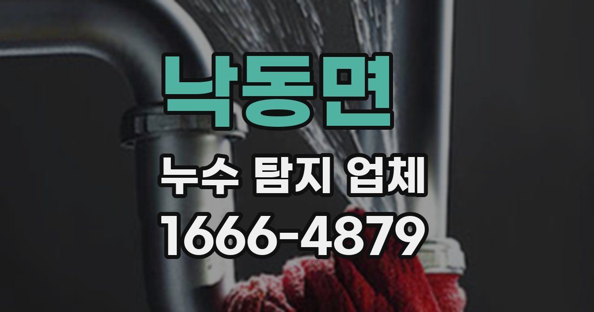낙동면 누수 탐지 업체