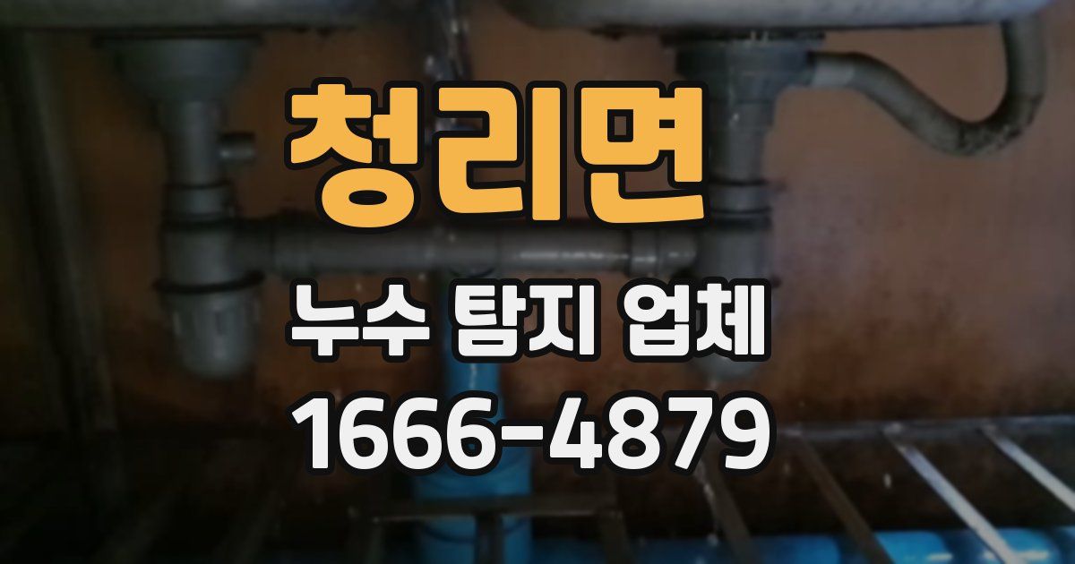 청리면 누수 탐지 업체
