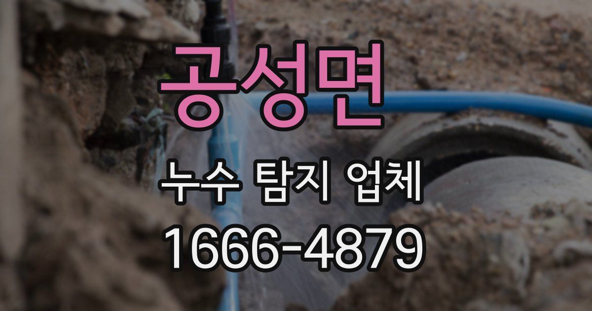 공성면 누수 탐지 업체
