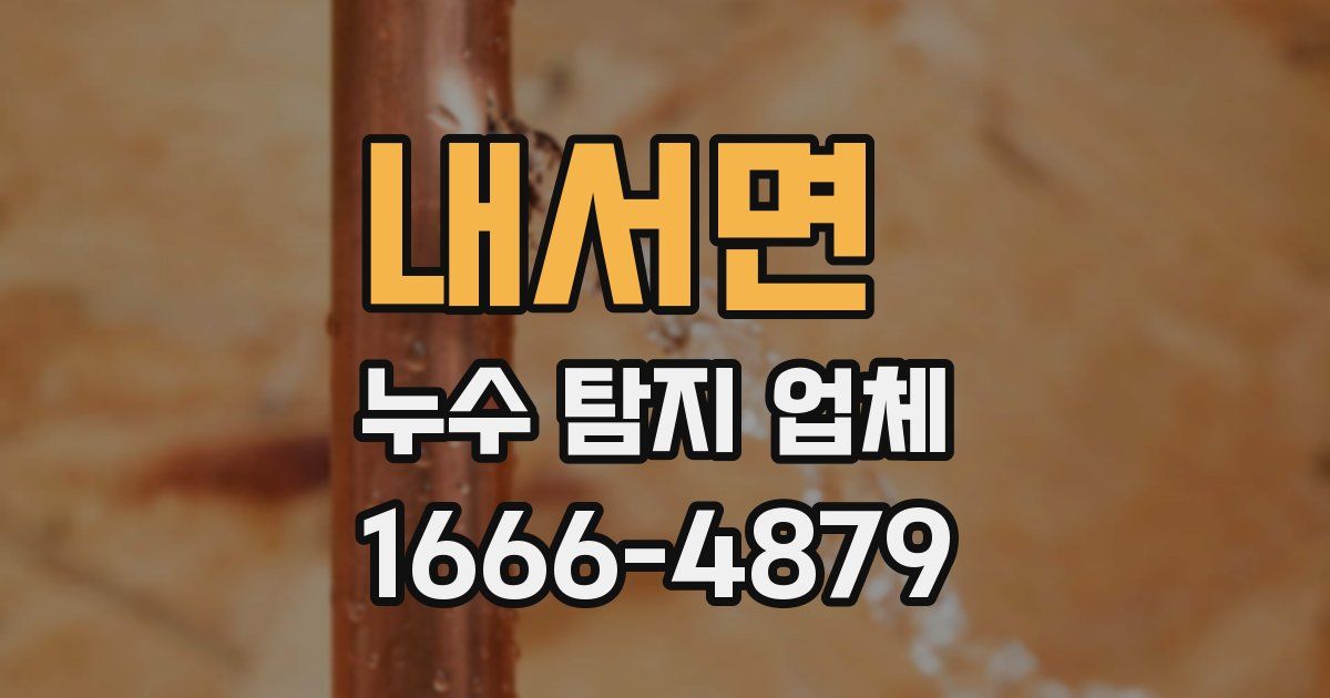 내서면 누수 탐지 업체