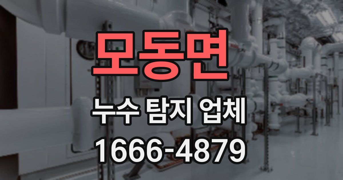 모동면 누수 탐지 업체