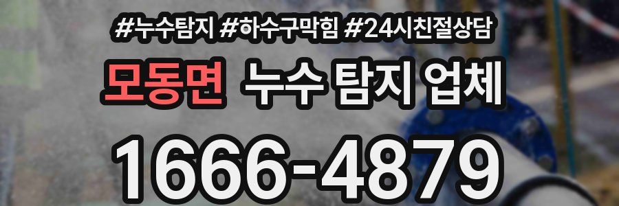 모동면 누수 탐지 업체