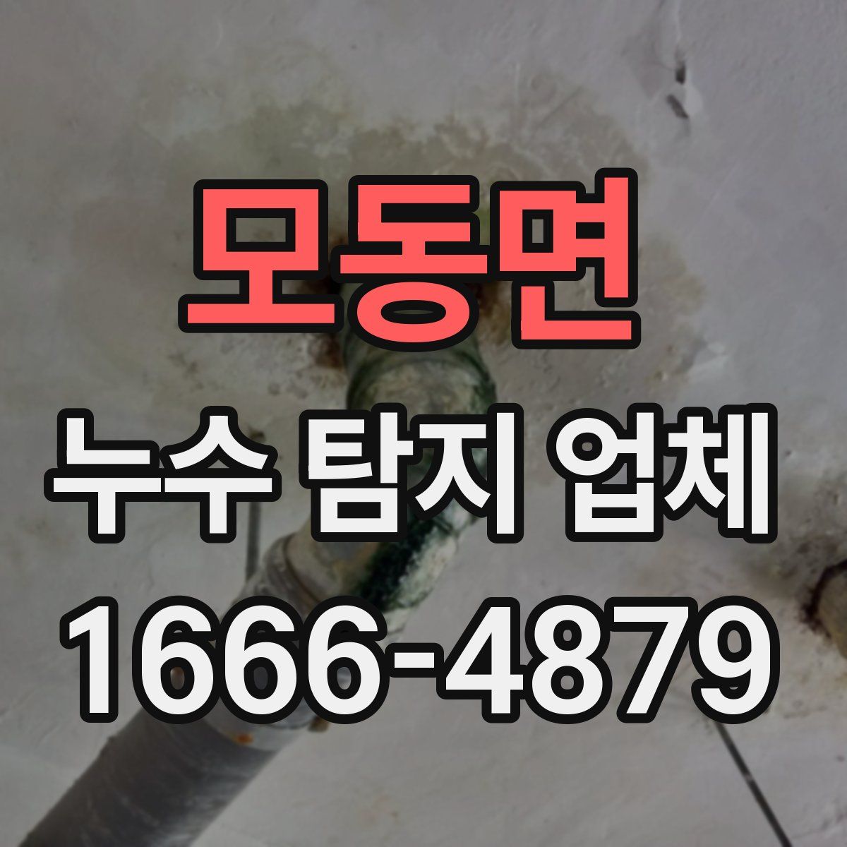 모동면 누수 탐지 업체