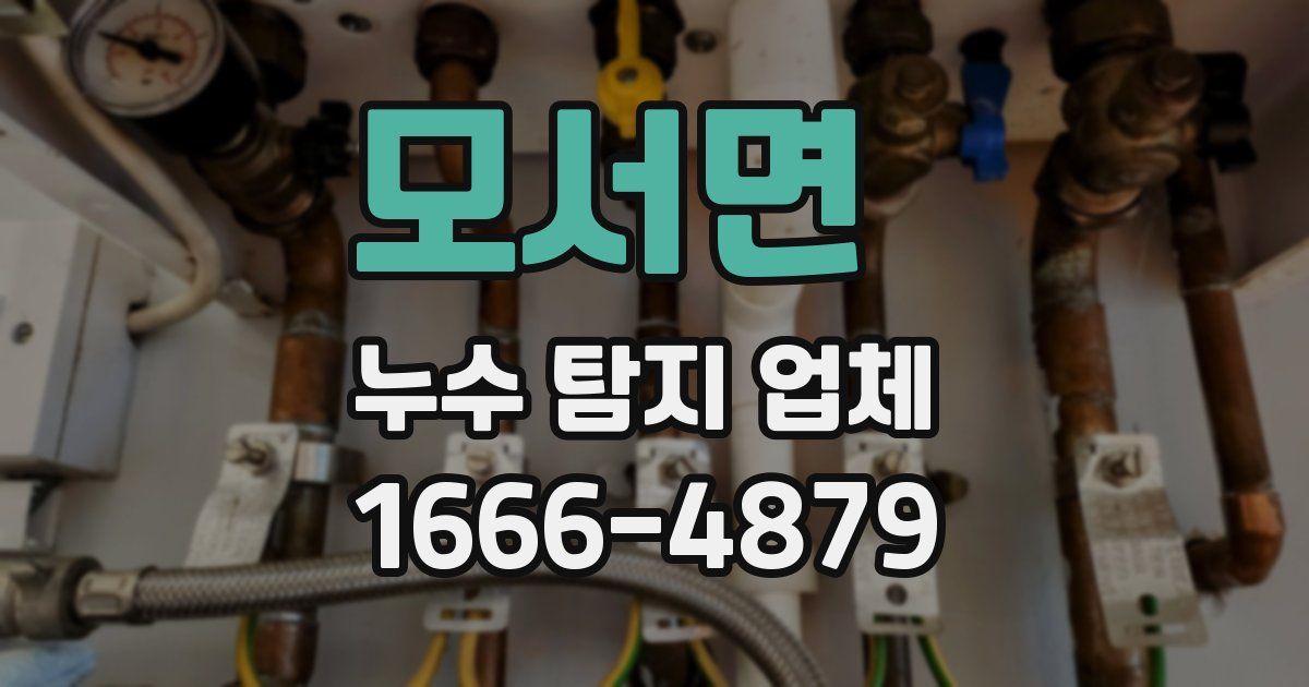 모서면 누수 탐지 업체