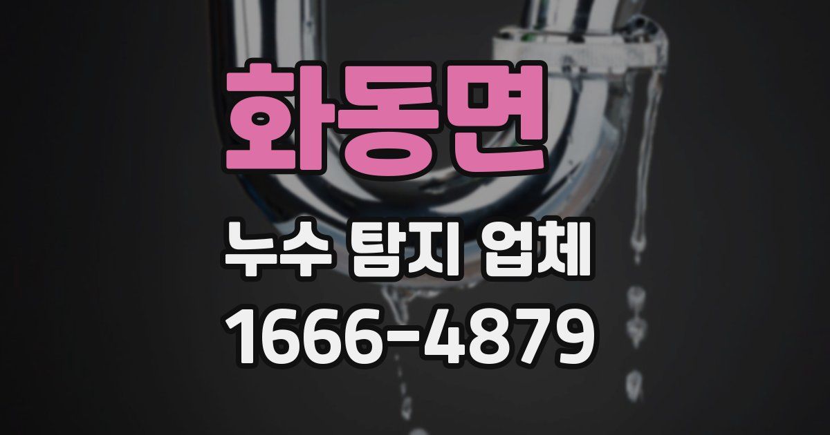 화동면 누수 탐지 업체