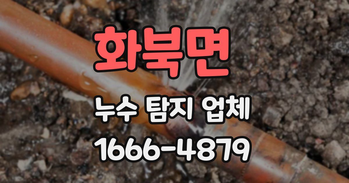 화북면 누수 탐지 업체