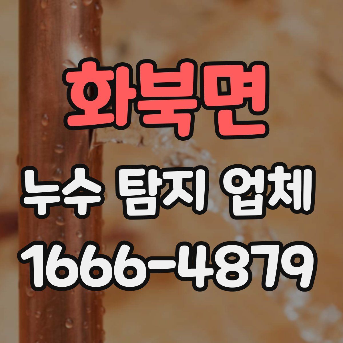 화북면 누수 탐지 업체