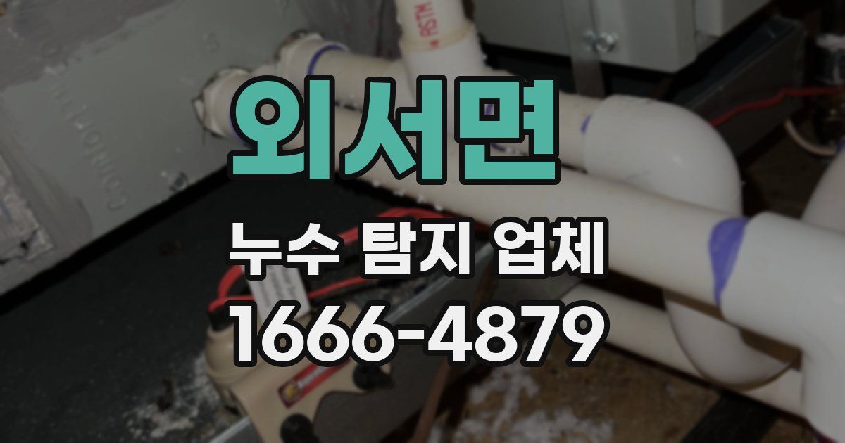 외서면 누수 탐지 업체