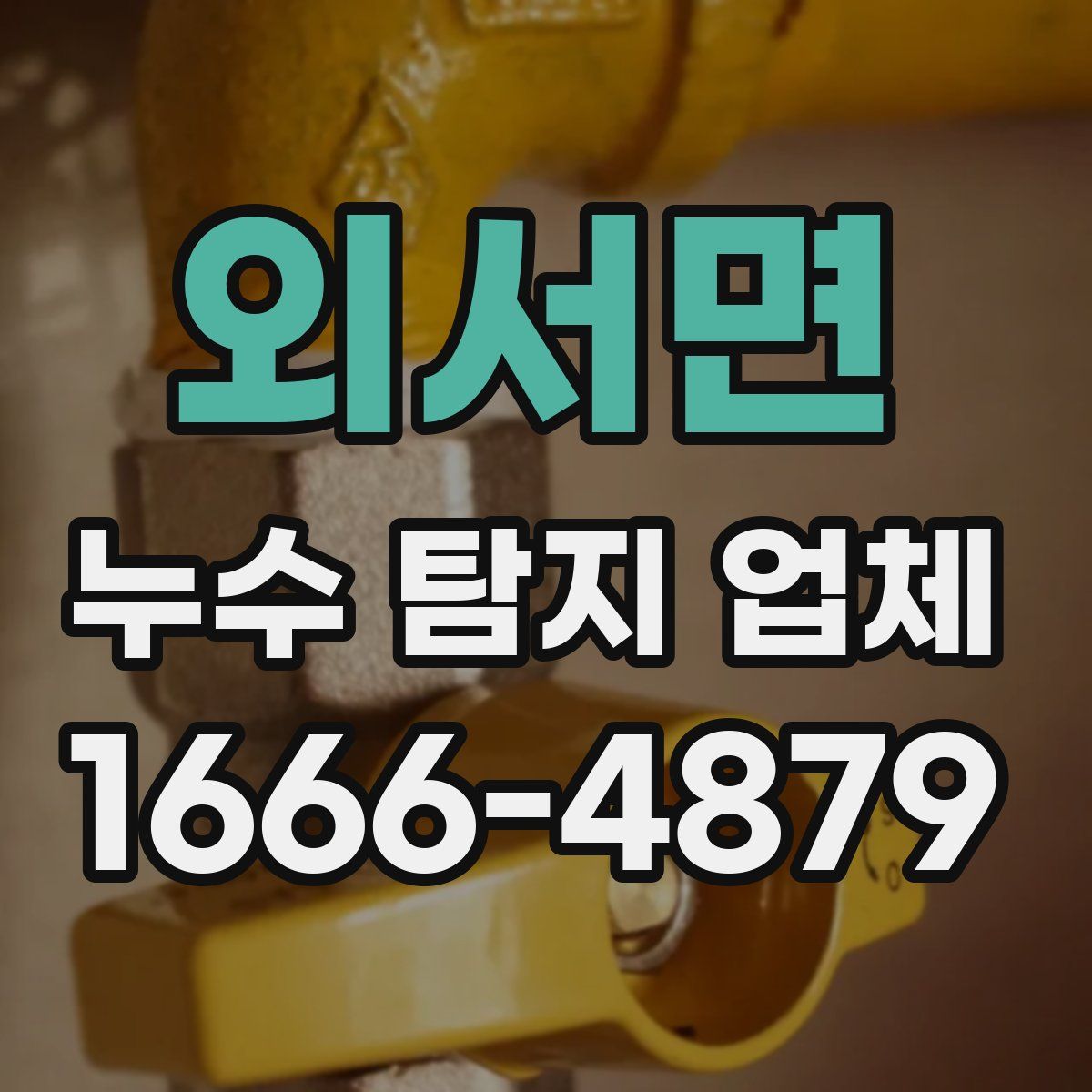 외서면 누수 탐지 업체