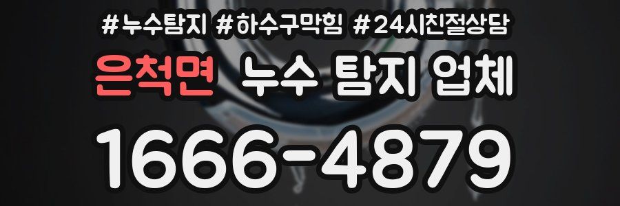 은척면 누수 탐지 업체
