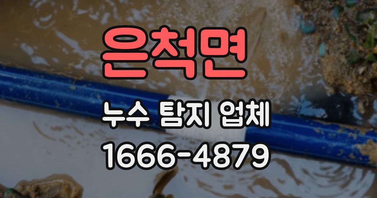 은척면 누수 탐지 업체