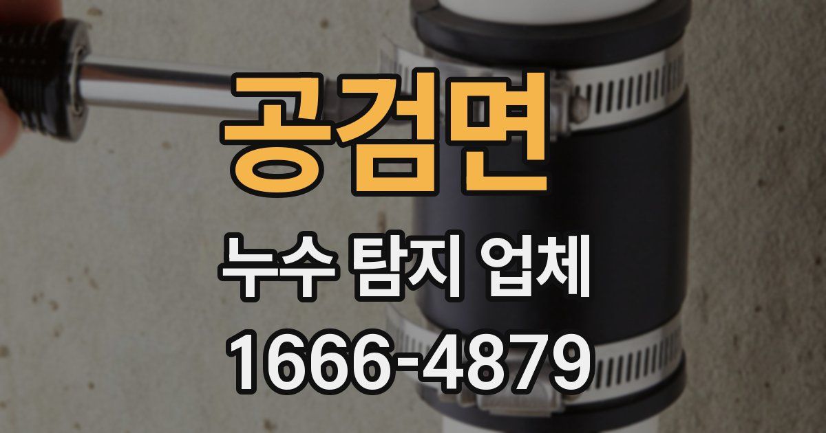 공검면 누수 탐지 업체