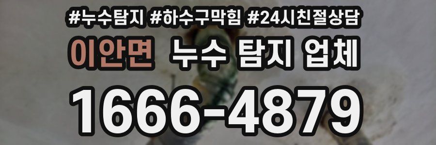 이안면 누수 탐지 업체