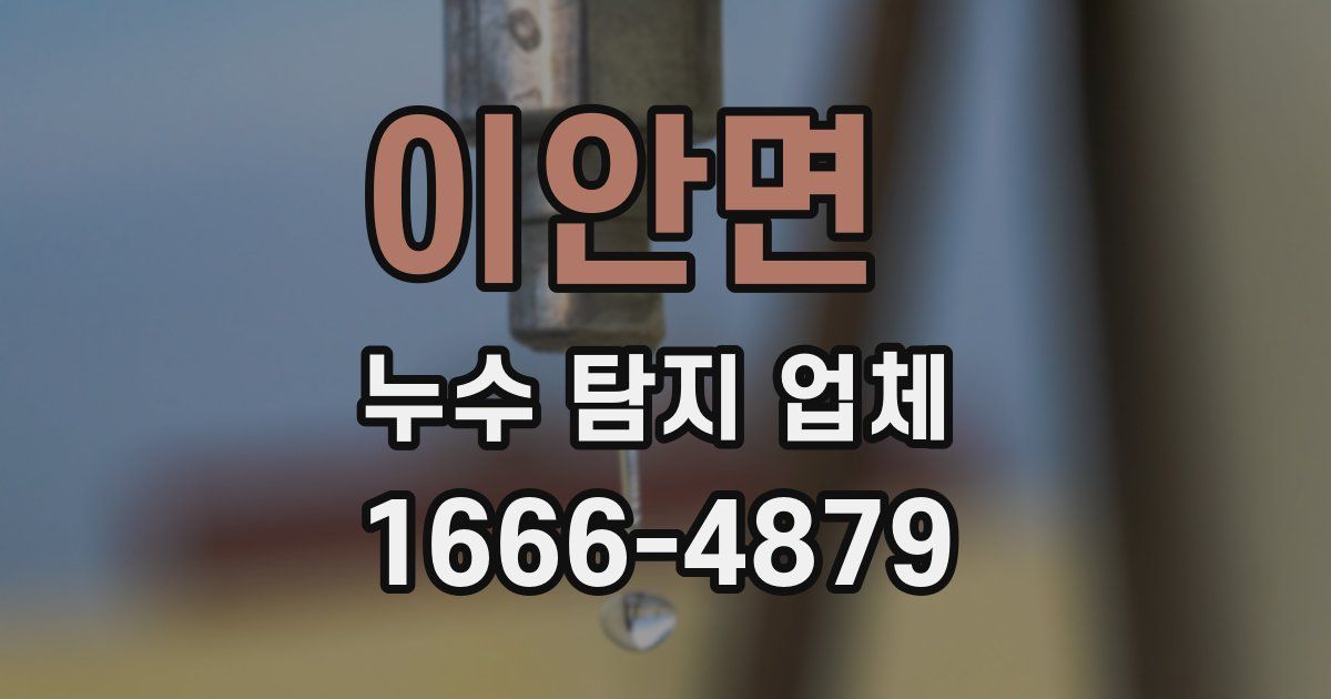 이안면 누수 탐지 업체