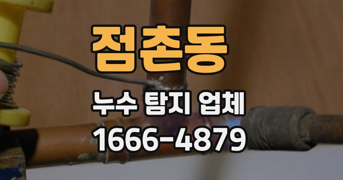 점촌동 누수 탐지 업체