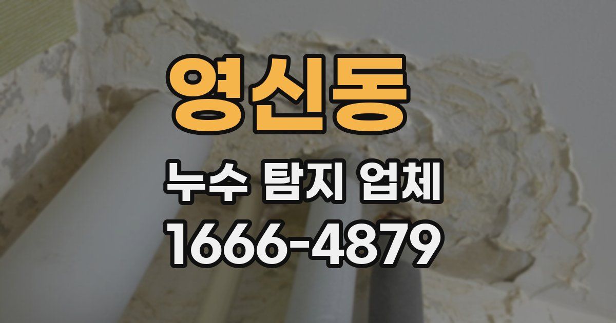 영신동 누수 탐지 업체