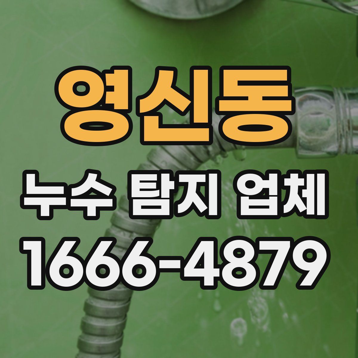 영신동 누수 탐지 업체