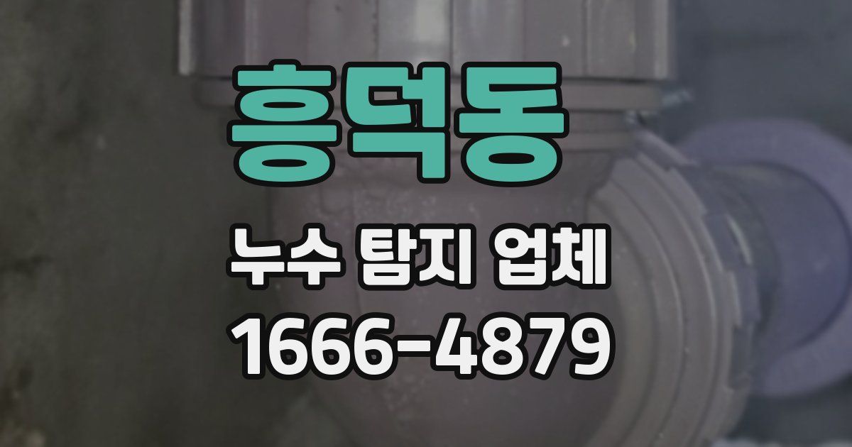 흥덕동 누수 탐지 업체