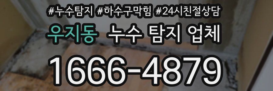 우지동 누수 탐지 업체