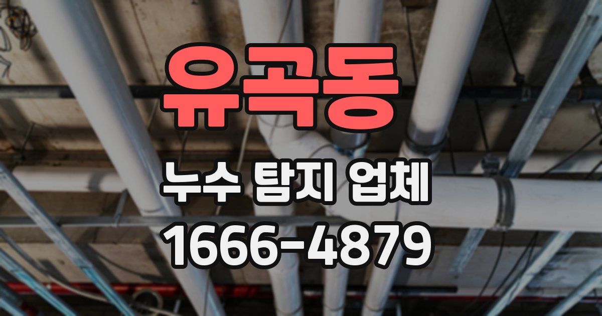 유곡동 누수 탐지 업체