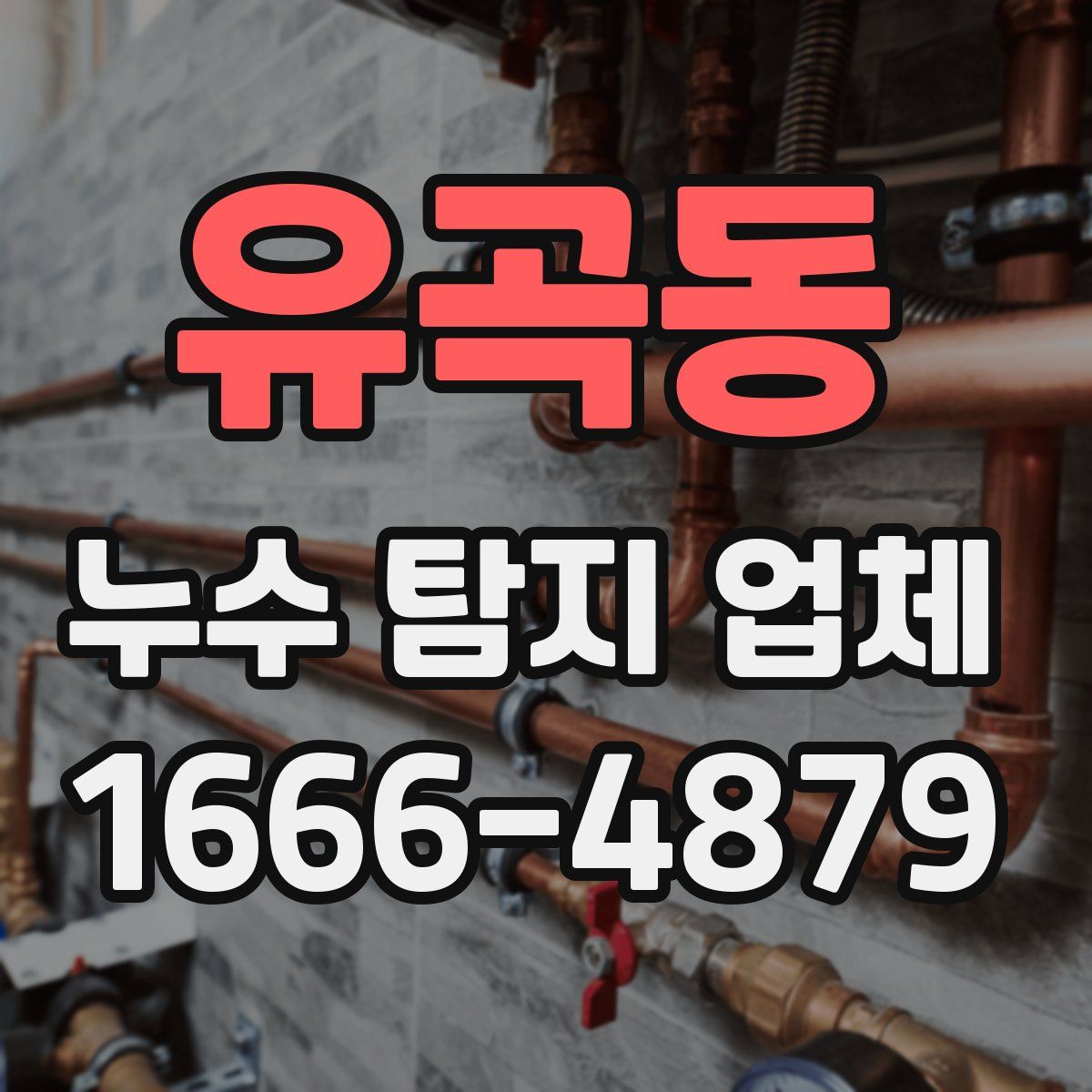 유곡동 누수 탐지 업체