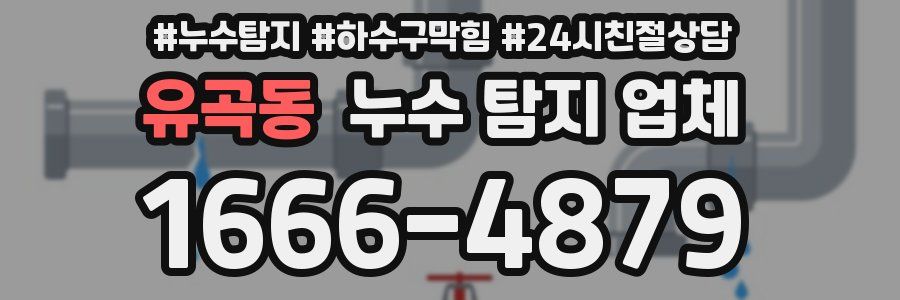 유곡동 누수 탐지 업체