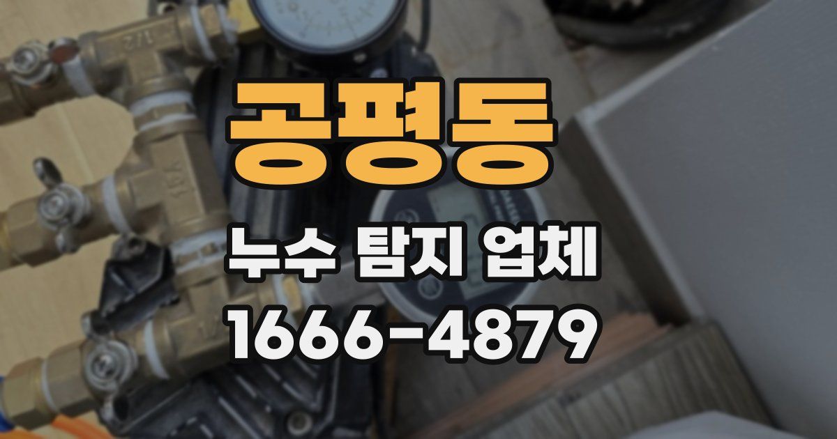 공평동 누수 탐지 업체
