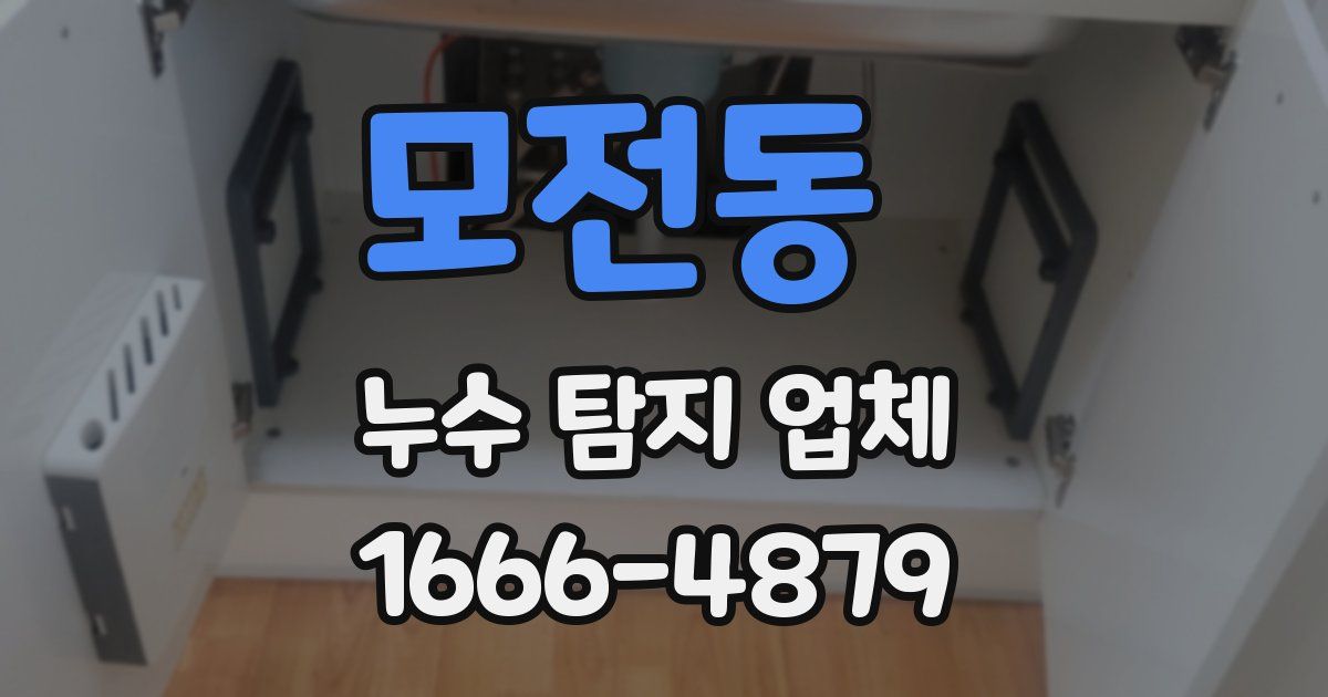 모전동 누수 탐지 업체