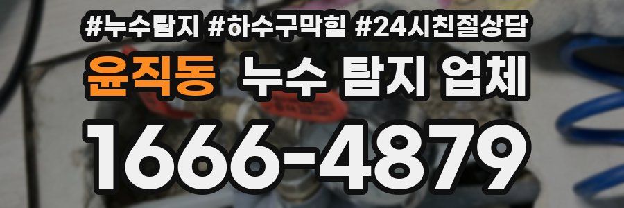 윤직동 누수 탐지 업체