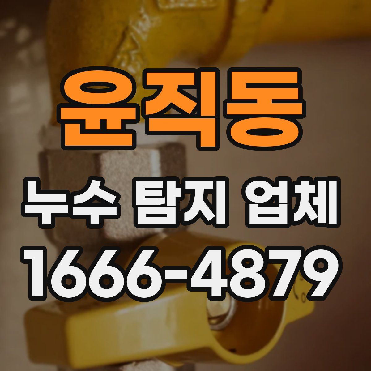 윤직동 누수 탐지 업체