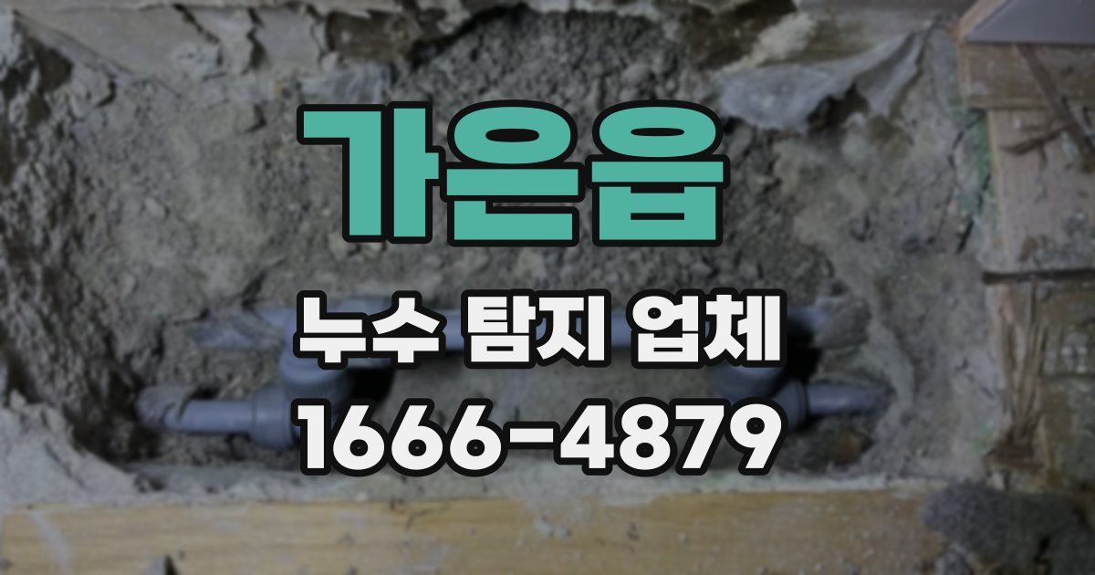 가은읍 누수 탐지 업체