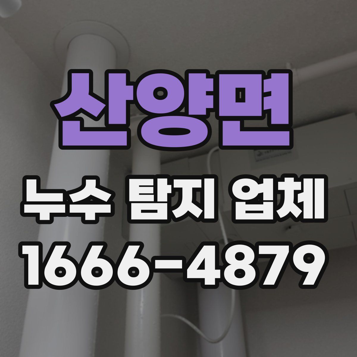 산양면 누수 탐지 업체