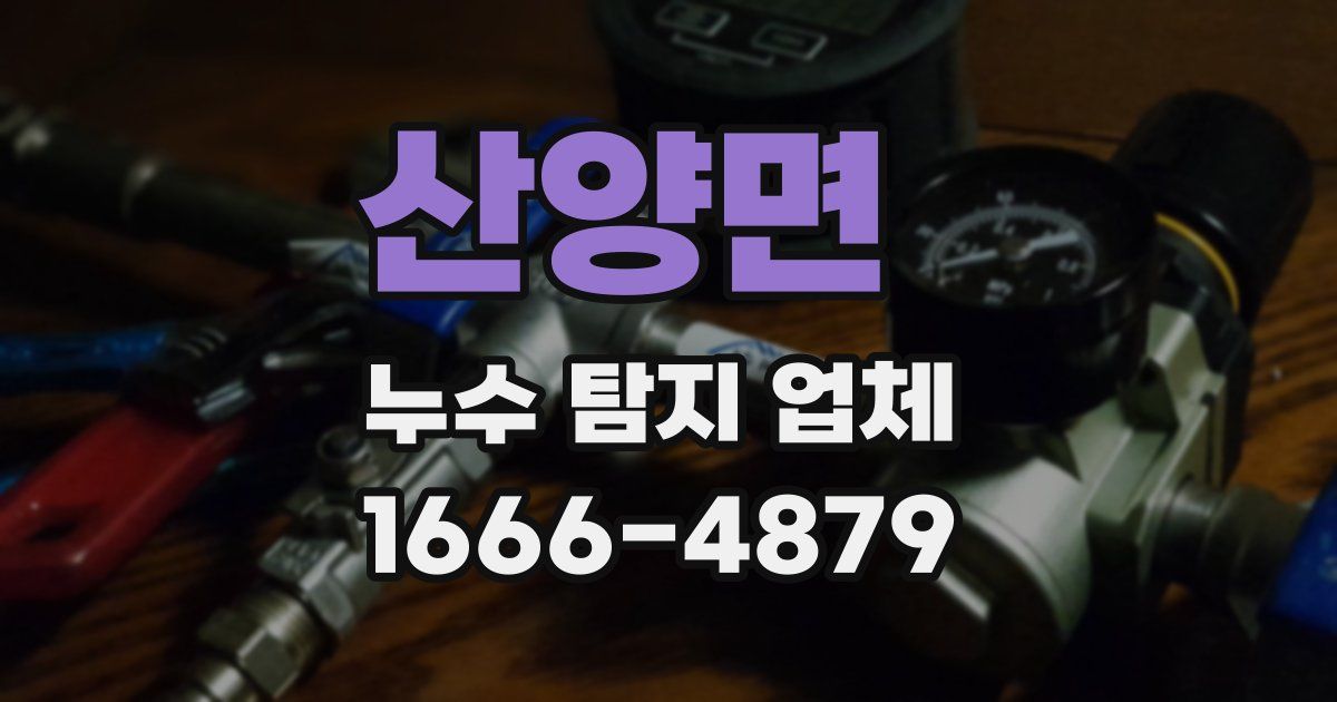 산양면 누수 탐지 업체