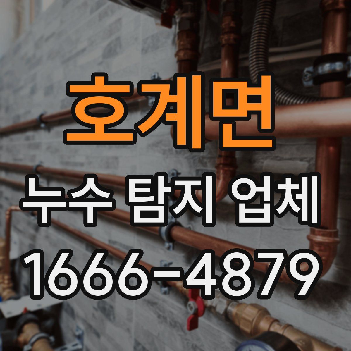 호계면 누수 탐지 업체