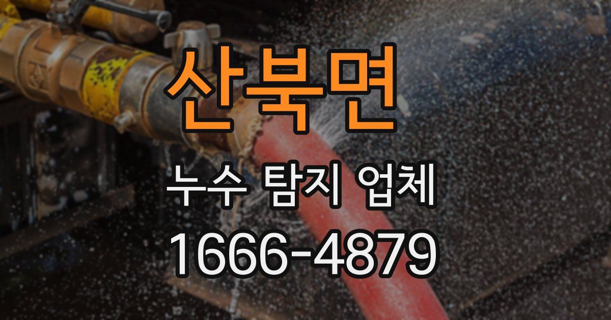 산북면 누수 탐지 업체