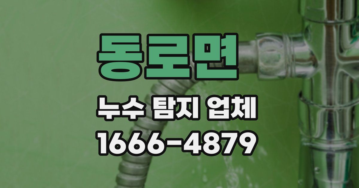 동로면 누수 탐지 업체