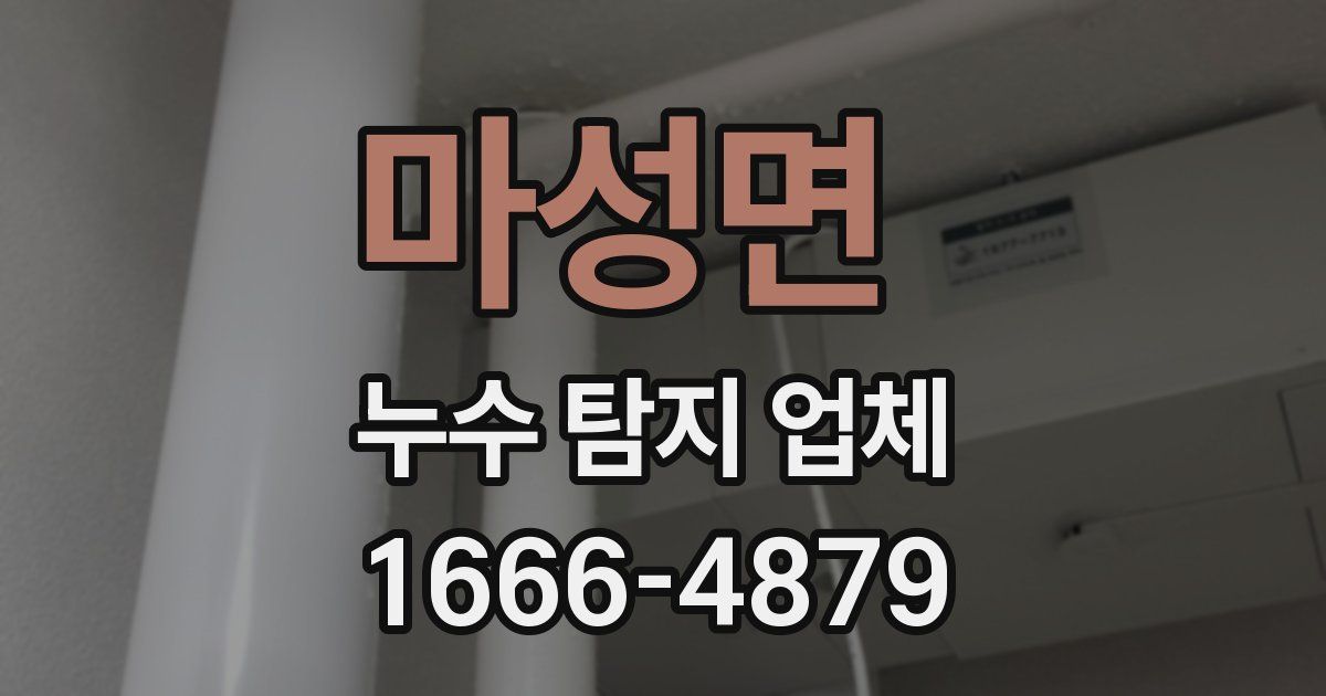 마성면 누수 탐지 업체
