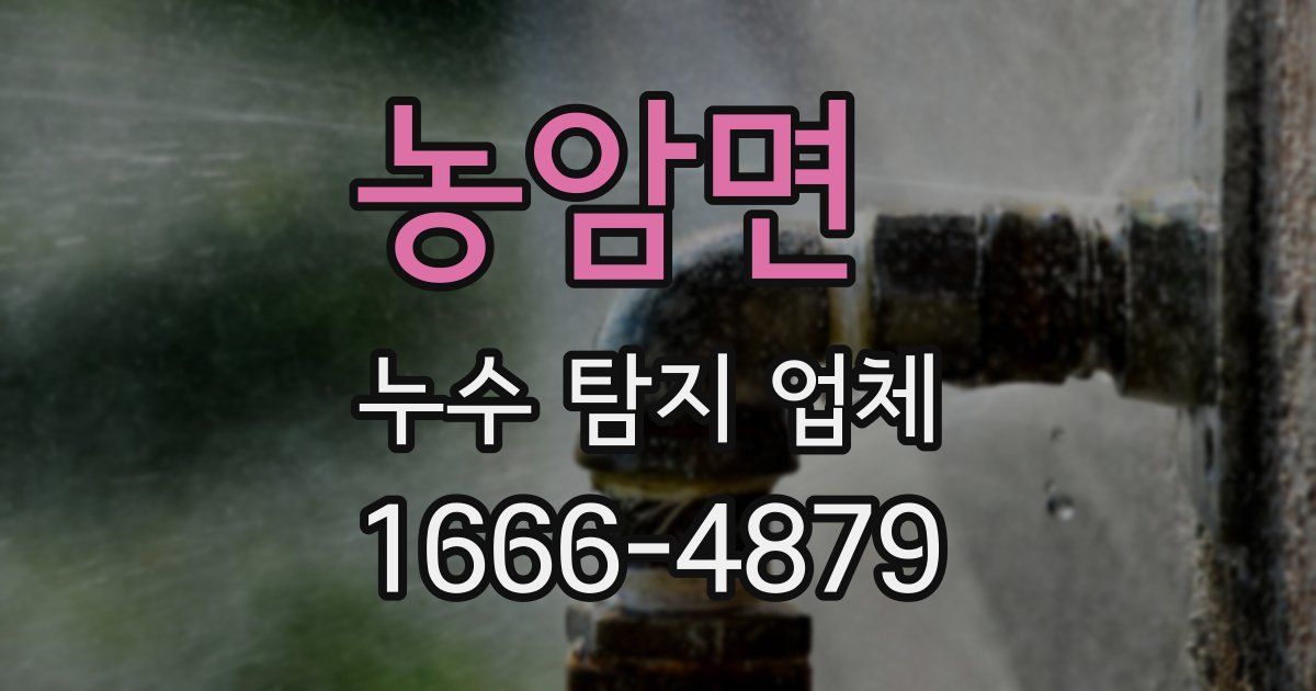 농암면 누수 탐지 업체